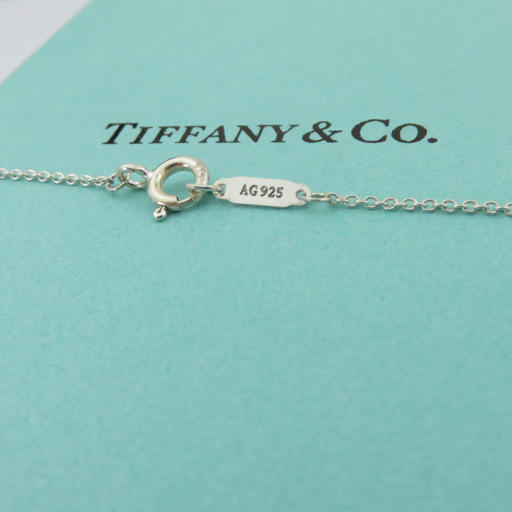 TIFFANY & CO 925 Silver Daisy Flower Key Diamond Necklace with Pouch Box