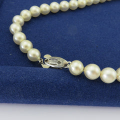 Japanese Vintage Akoya Pearl Strand Necklace 7.7-8.3mm Silver Clasp 38cm