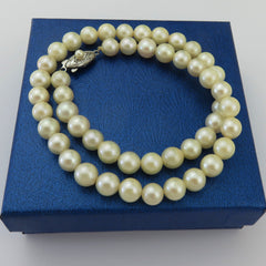 Japanese Vintage Akoya Pearl Strand Necklace 7.5-8mm Silver Clasp 39.5cm