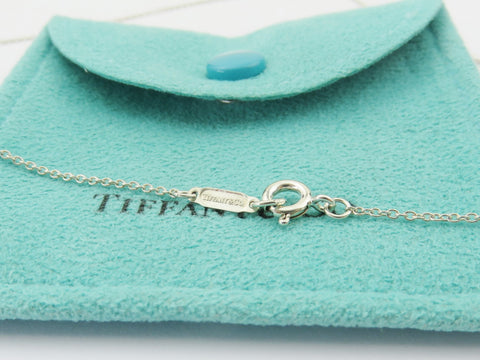 TIFFANY & CO Sterling Silver Atlas Medallion Pendant Price Includes US Tariff