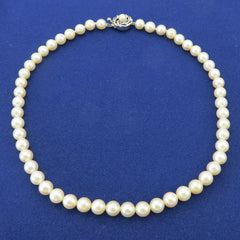 Japanese Vintage Akoya Pearl Strand Necklace 7.5-8mm Silver Clasp 42cm