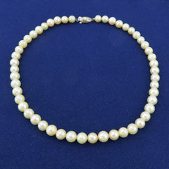 Japanese Vintage Akoya Pearl Strand Necklace 7.5-8mm Silver Clasp 39.5cm