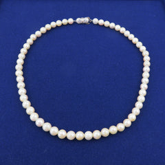 Japanese Vintage Akoya Pearl Strand Necklace 7-7.5mm Silver Clasp 42cm