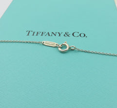TIFFANY & CO 925 Sterling Silver 1837 Circle Pendant Necklace with Box