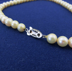 Japanese Vintage Akoya Pearl Strand Necklace 7.5-8mm Silver Clasp 39.5cm