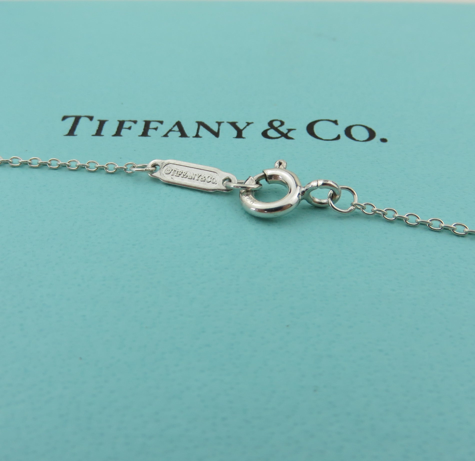 TIFFANY & CO 925 Sterling Silver 1837 Circle Pendant Necklace with Pouch